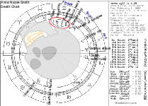 Anna Nicole Smith Death Chart