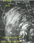 Tropical Storm Ida, 11-6-2009, 0130 GMT, PSC