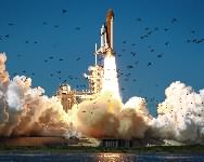 STS-51L Launch Birds