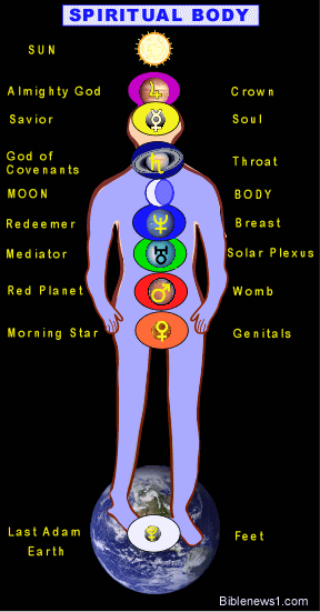 King David S Wives Chart