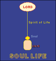 Soul Life