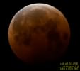 Blood Moon,
          10-8-14, Griffith Observatory