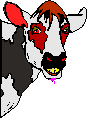 Cattle