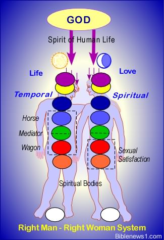 King David S Wives Chart