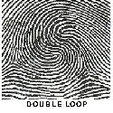 Double Loop