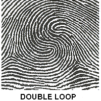 Double Loop
