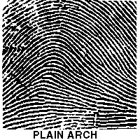 Plain Arch
