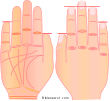 Finger Length