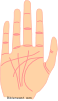 Thin Fingers