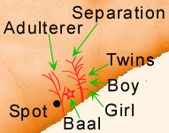 Marriage Markings
