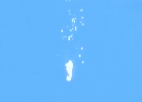 Chinese Balloon
              Debris