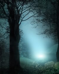 light
