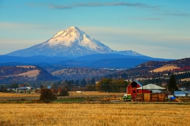 Mt. Hood