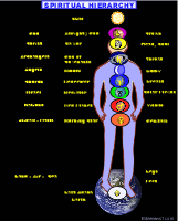 Hierarchy