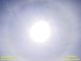Halo