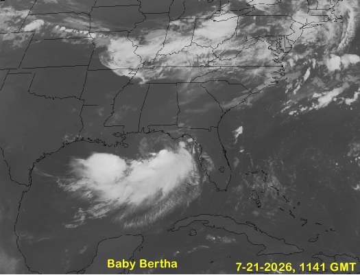 Bertha
