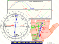 Biorhythms